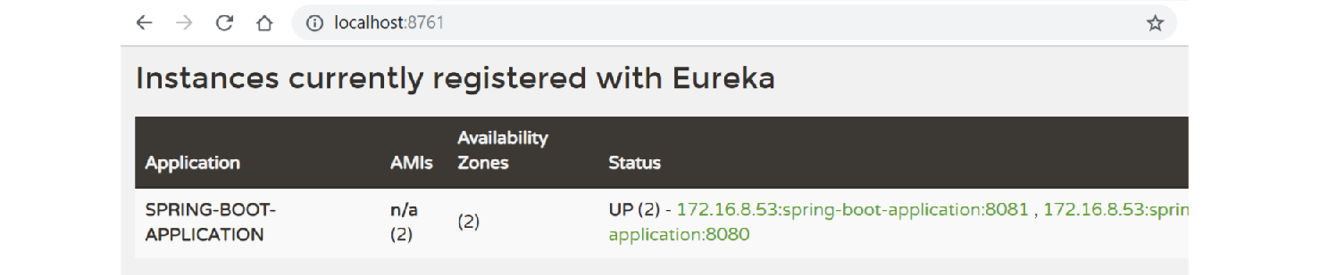 eureka hazelcast metadata